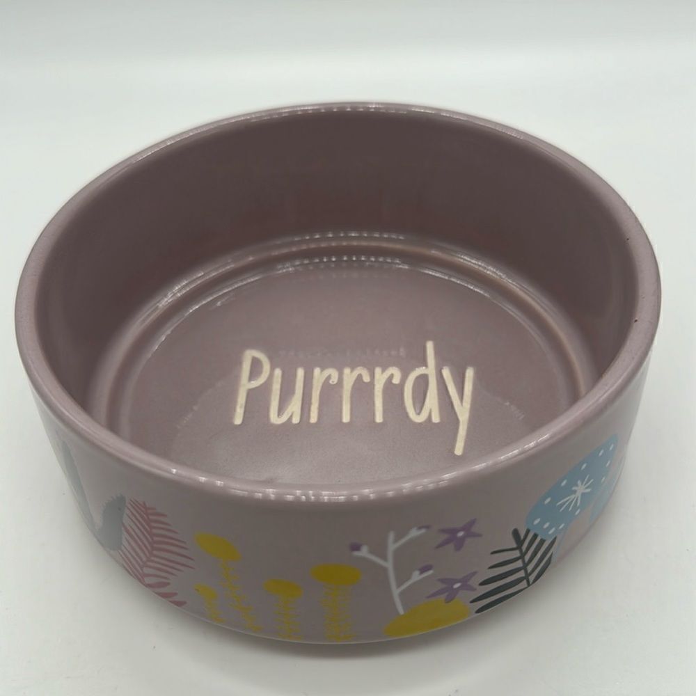 Whisker City Ceramic Non Skid 13 oz Purple Pet Food Dish